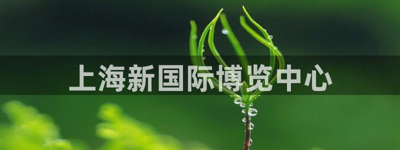 果博官网：上海新国际博览中心