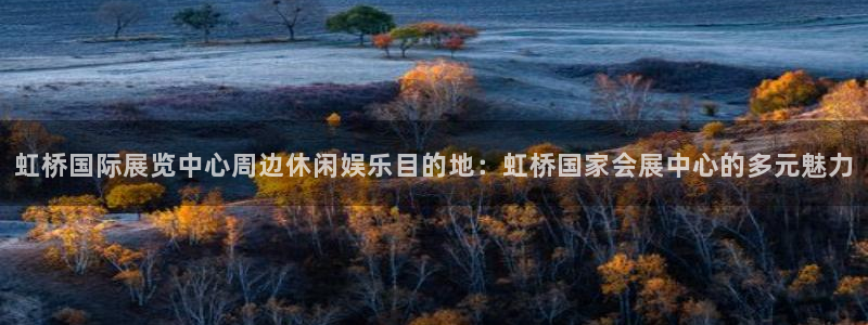 果博平台真实吗知乎怎么样：虹桥国际展览中