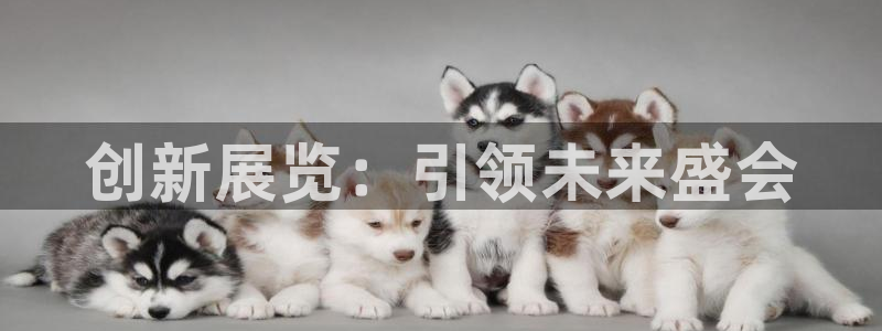 果博公司客服电话：创新展览：引领未来盛会