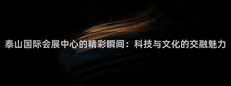 果博平台怎么下载?：泰山国际会展中心的精