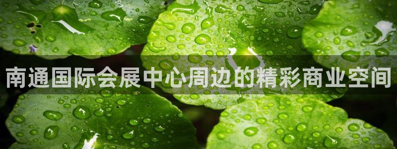 果博客服电话哪里找啊：南通国际会展中心周