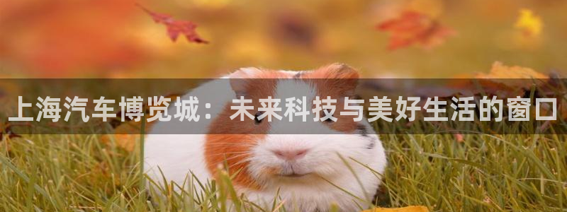 苹果电脑怎么下载伯索：上海汽车博览城：未