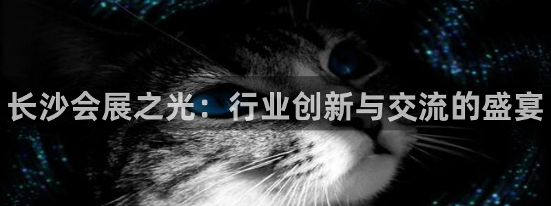 果博公司会员账号开户：长沙会展之光：行业