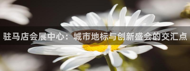 苹果电脑可以下载博易大师吗：驻马店会展中