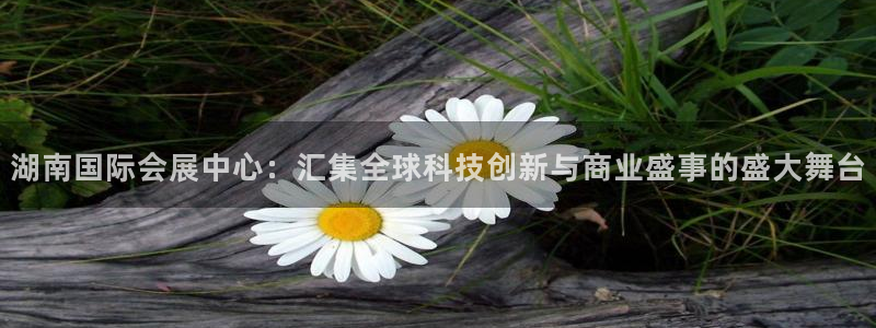 果博公司会员注册账号开户：湖南国际会展中