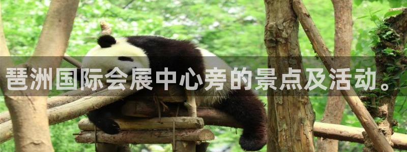 果博平台真实吗知乎推荐：琶洲国际会展中心