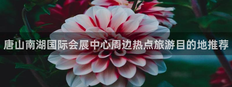果博注册充值多少钱：唐山南湖国际会展中心