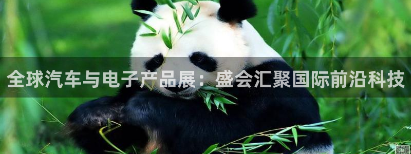 果博平台真实吗知乎推荐：全球汽车与电子产