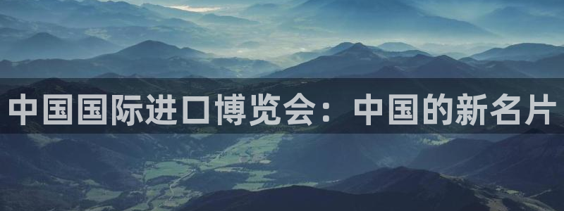 果搏代理：中国国际进口博览会：中国的新名
