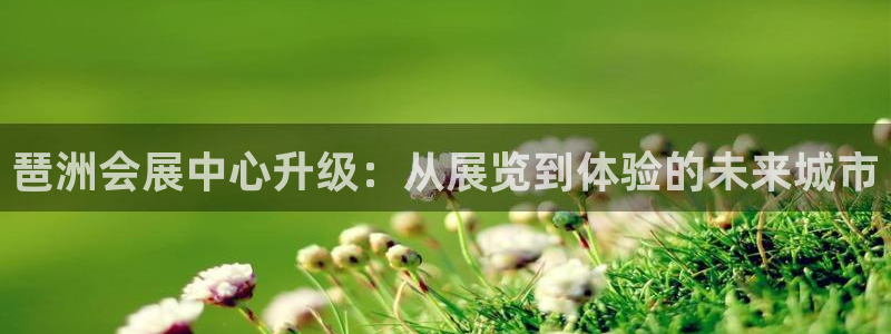 果博注册客服电话号码是多少：琶洲会展中心升级：从展览到体验的未来城市