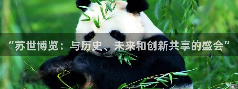 果博注册平台：“苏世博览：与历史、未来和