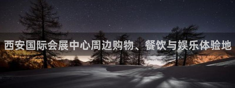 果博真人：西安国际会展中心周边购物、餐饮