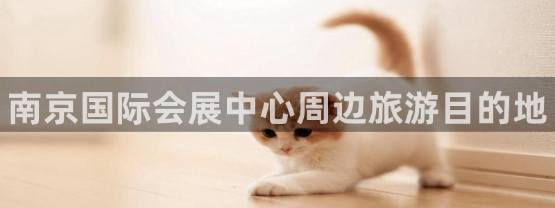 果博平台真实吗安全吗可信吗是真的吗：南京国际会展中