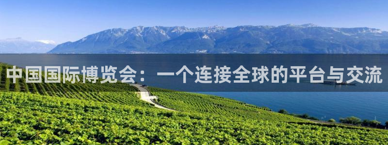 果博公司怎么注册会员：中国国际博览会：一个连接全球的平台与交流