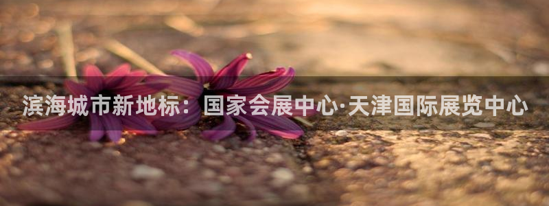 果博注册平台怎么注册账号：滨海城市新地标：国家会展中心·天津国际展览中心