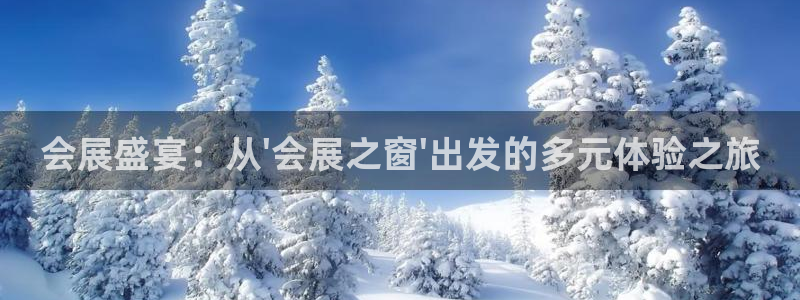 果博管理网：会展盛宴：从\'会展之窗\'出发的多元体验之旅