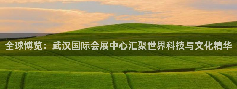 果博公司联系方式：全球博览：武汉国际会展