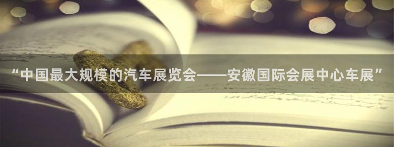 果博环保官网：“中国最大规模的汽车展览会