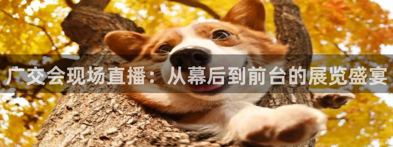 果博客服电话多少：广交会现场直播：从幕后到前台的展览盛宴