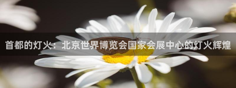 果博平台开户电话：首都的灯火：北京世界博览会国家会展中心的灯火辉煌