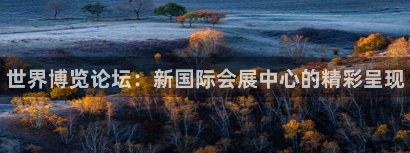 果博官网电话：世界博览论坛：新国际会展中心的精彩呈现