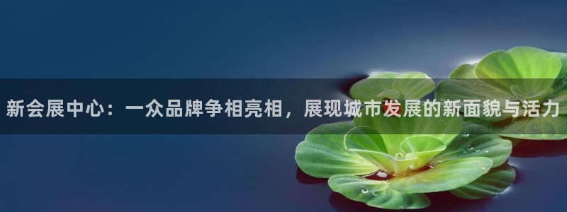 果博公司会员注册账号：新会展中心：一众品牌争相亮相，展现城市发展的新面貌与活力