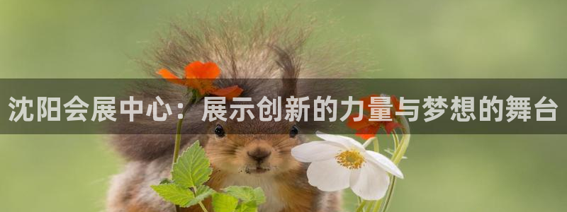 果博怎么注册账号和密码：沈阳会展中心：展