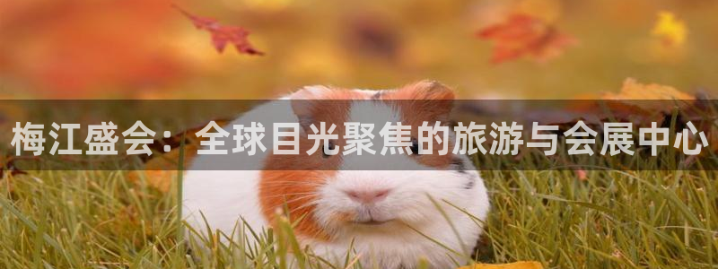 果博公司网站：梅江盛会：全球目光聚焦的旅