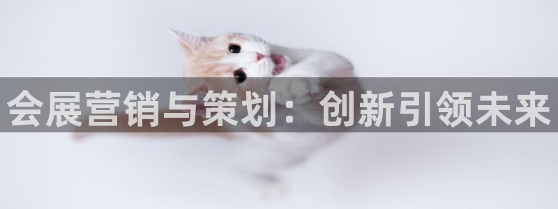 果博平台链接：会展营销与策划：创新引领未