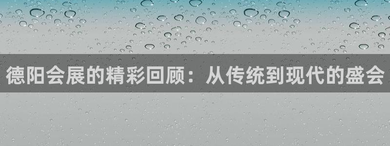 果博官方网：德阳会展的精彩回顾：从传统到