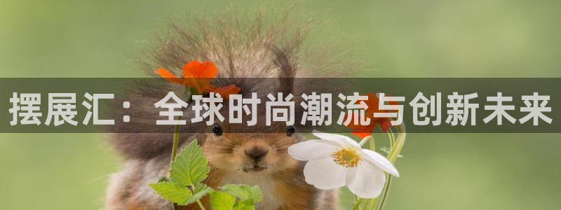 果博注册会员维wckk389：摆展汇：全