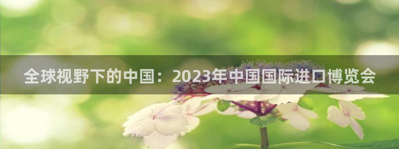 果博客服微信是多少：全球视野下的中国：2