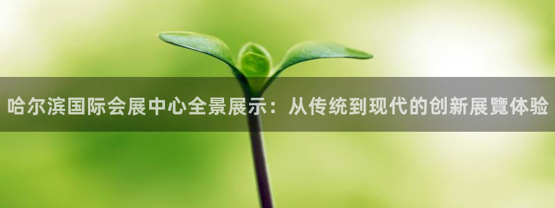 果博集团：哈尔滨国际会展中心全景展示：从