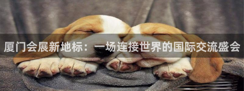 果博东官方网站怎么下载：厦门会展新地标：一场连接世