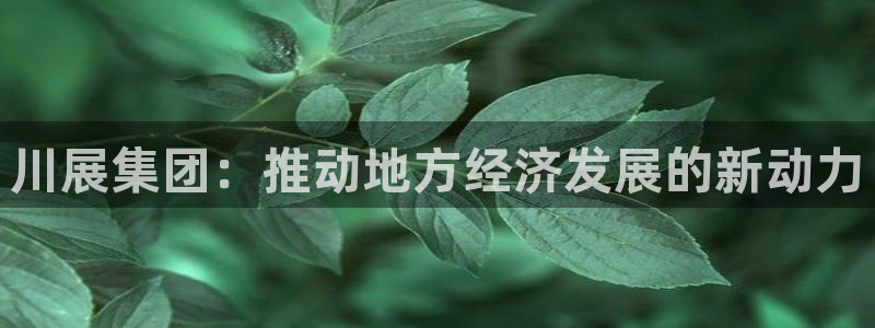 果博注册客服电话号码是多少：川展集团：推动地方经济发展的新动力