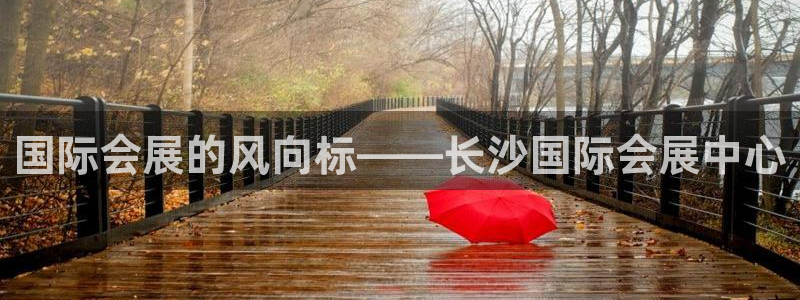 果博网站二维码：国际会展的风向标——长沙