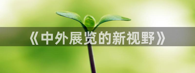 果博怎么注册账号和密码：《中外展览的新视