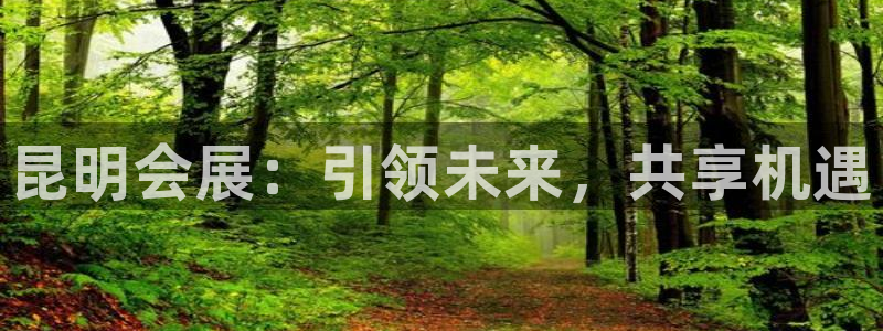 果博是怎么登录的：昆明会展：引领未来，共