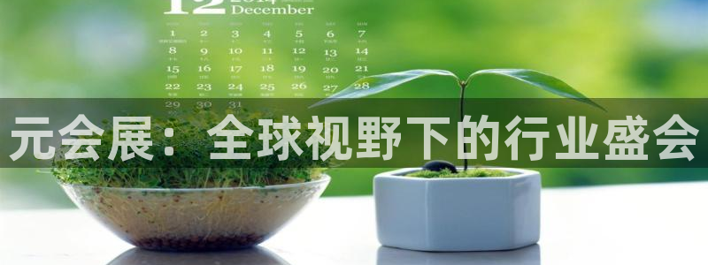 果博公司会员怎么开户：元会展：全球视野下