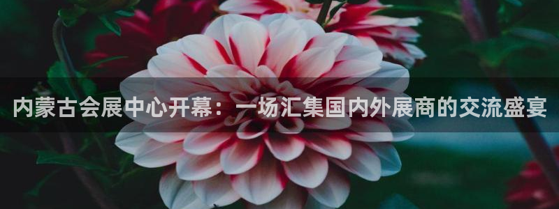 果博平台链接：内蒙古会展中心开幕：一场汇集国内外展商的交流盛宴