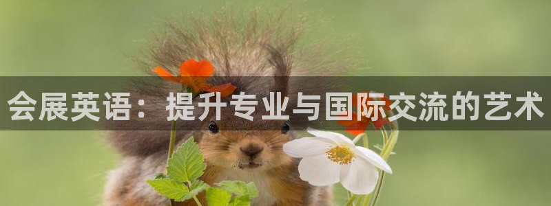 果博平台真实吗安全吗是真的吗：会展英语：提升专业与国际交流的艺术