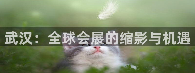 果搏东方客服:武汉:全球会展的缩影与机遇