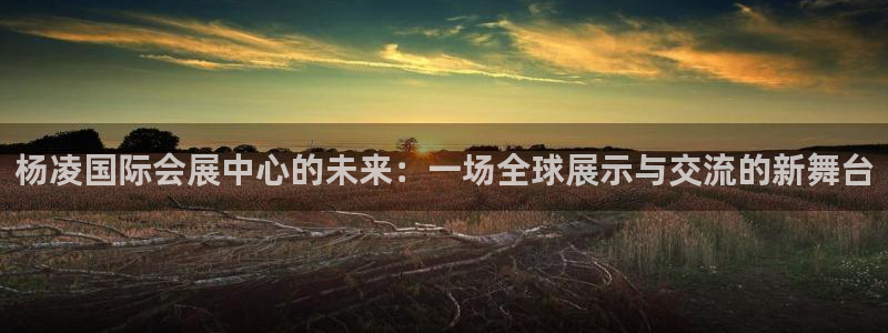果博公司开户注册：杨凌国际会展中心的未来：一场全球展示与交流的新舞台