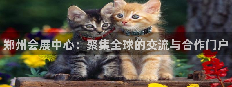果博怎么注册账号
