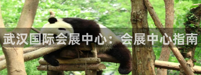 果博公司会员注册：武汉国际会展中心：会展中心指南