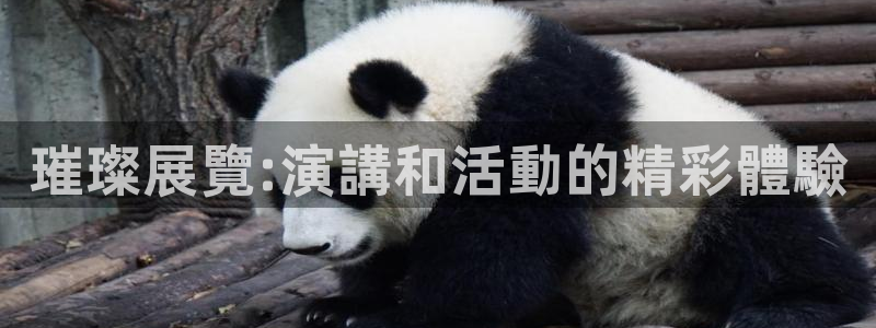 果博集团：璀璨展覽:演講和活動的精彩體驗