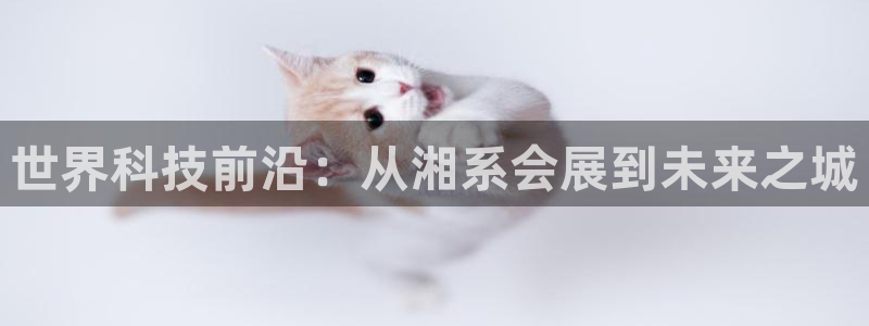 果博注册充值：世界科技前沿：从湘系会展到未来之城