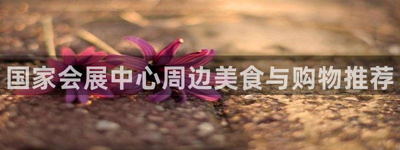 手机怎样下载果博：国家会展中心周边美食与