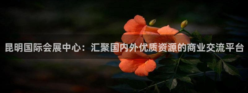 果博公司客服微信：昆明国际会展中心：汇聚