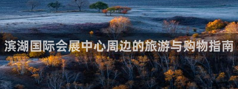 果博注册充值多少钱：滨湖国际会展中心周边